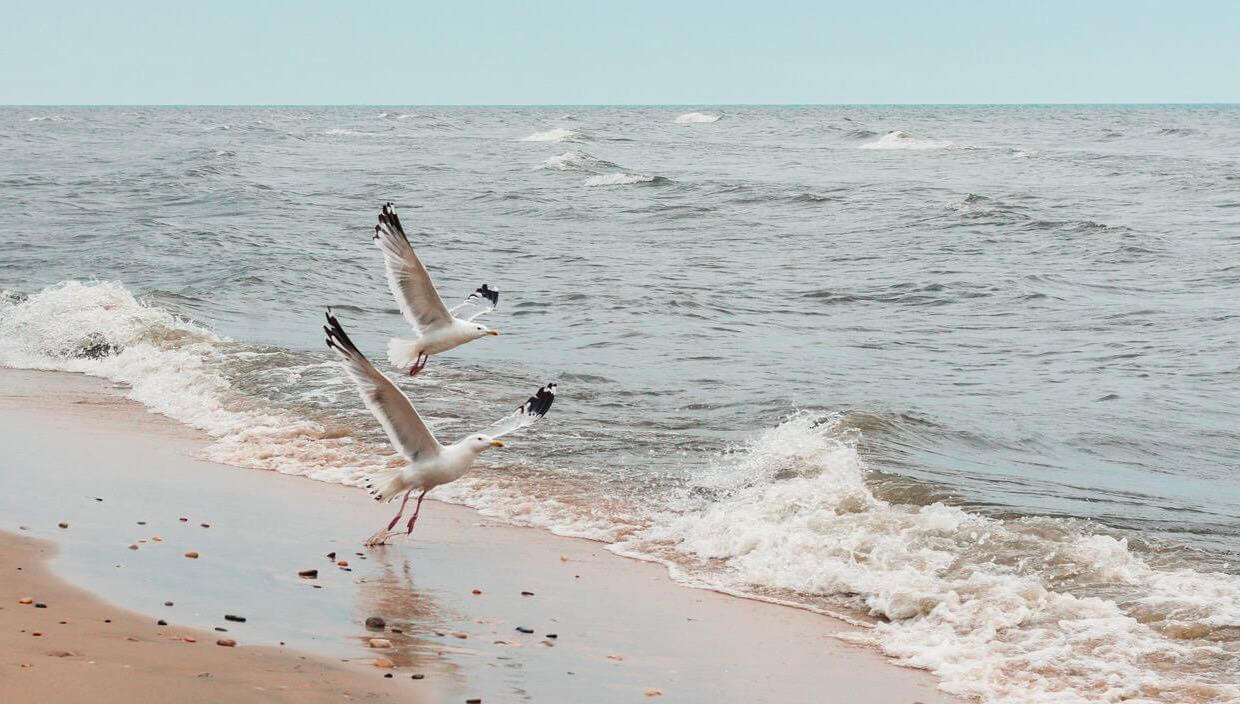 在定制化项目中使用webpack编译出不同版本的项目